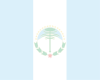 Neuquen