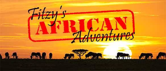 African Adventures