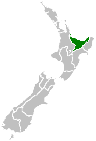 Bay Of Plenty