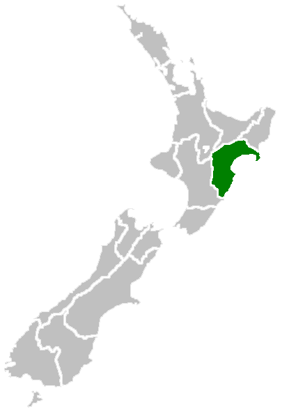 Hawke's Bay