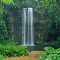 074 FacebookHeader 2010OCT17 AUS QLD MillaMillaFalls 004  You can't go wrong up on the Tablelands of far North Queensland. I even managed to find a bit of water. — at Millaa Millaa Falls, Queensland, AUstralia