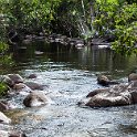 100_FacebookHeader_AUS_QLD_PalmCreek_2011MAY21_RockSlidesWalk_014.jpg