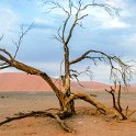 211 FacebookHeader NAM HAR Dune45 2016NOV21 064  You may wonder why you'd get up at 3AM to drive an hour into the sand dunes of Sossusvlei, Namibia ..... maybe you're a lunatic just like me. — @ Dune 45, Sossusvlei, Namibia