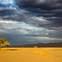 230 FacebookHeader NAM HAR Dune45 2016NOV21 093  One of my favourite photos from last years trip was taken around Dune 45 in Namibia.   While I was disappointed that I couldn't physically climb the dune, I went for a wander around the base and was rewarded spectacularly for my efforts. — @ Dune 45, Hardap Region, Namibia.