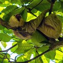 319 FacebookHeader CRI PUN Quepos 2019MAY15 016  Ever wanted to be "at one with nature" this time of year like I found in Costa Rica??? — @ Quepos, Puntarenas, Costa Rica : - DATE, - PLACES, - TRIPS, 10's, 2019, 2019 - Taco's & Toucan's, Americas, Central America, Costa Rica, Day, May, Month, Puntarenas, Quepos, Wednesday, Year