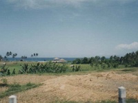 IDN Bali 1990OCT WRLFC WGT 058 : 1990, 1990 World Grog Tour, Asia, Bali, Date, Indonesia, Month, October, Places, Rugby League, Sports, Wests Rugby League Football Club, Year