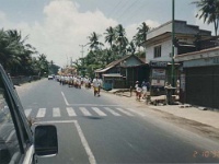 IDN Bali 1990OCT WRLFC WGT 061  We would run into the occasional street parade. Unfortunately I don't know what they were celebrating. : 1990, 1990 World Grog Tour, Asia, Bali, Date, Indonesia, Month, October, Places, Rugby League, Sports, Wests Rugby League Football Club, Year
