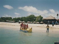 IDN Bali 1990OCT WRLFC WGT 100  The boys are still trying to get into the water. : 1990, 1990 World Grog Tour, Asia, Bali, Date, Indonesia, Month, October, Places, Rugby League, Sports, Wests Rugby League Football Club, Year