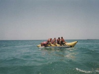 IDN Bali 1990OCT WRLFC WGT 103  C'mon let's do it again only faster. : 1990, 1990 World Grog Tour, Asia, Bali, Date, Indonesia, Month, October, Places, Rugby League, Sports, Wests Rugby League Football Club, Year
