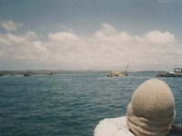 IDN Bali 1990OCT WRLFC WGT 104  On the way back we found some wrecks in the harbor. : 1990, 1990 World Grog Tour, Asia, Bali, Date, Indonesia, Month, October, Places, Rugby League, Sports, Wests Rugby League Football Club, Year