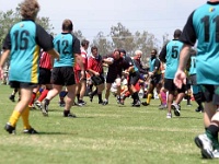 AM NA USA CA SanDiego 2005MAY20 GO v CrackedConches 130 : Cracked Conches, 2005, 2005 San Diego Golden Oldies, Americas, Bahamas, California, Cracked Conches, Date, Golden Oldies Rugby Union, May, Month, North America, Places, Rugby Union, San Diego, Sports, Teams, USA, Year