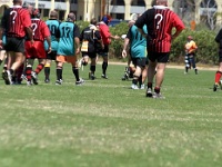 AM NA USA CA SanDiego 2005MAY20 GO v CrackedConches 153 : Cracked Conches, 2005, 2005 San Diego Golden Oldies, Americas, Bahamas, California, Cracked Conches, Date, Golden Oldies Rugby Union, May, Month, North America, Places, Rugby Union, San Diego, Sports, Teams, USA, Year