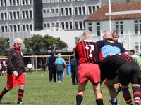OC NZL WGN Wellington 2006NOV01 GO v JohnsonvilleCripples 016 : 2006, 2006 Wellington Golden Oldies, Date, Golden Oldies Rugby Union, Johnsonville Cripples, Month, New Zealand, November, Oceania, Places, Rugby Union, Sports, Teams, Wellington, Year