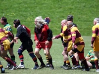 OC NZL WGN Wellington 2006NOV03 GO v UpperHuttYellowBellies 016 : 2006, 2006 Wellington Golden Oldies, Date, Golden Oldies Rugby Union, Month, New Zealand, November, Oceania, Places, Rugby Union, Sports, Teams, Upper Hutt Yellow Bellies, Wellington, Year