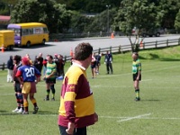 OC NZL WGN Wellington 2006NOV03 GO v UpperHuttYellowBellies 031 : 2006, 2006 Wellington Golden Oldies, Date, Golden Oldies Rugby Union, Month, New Zealand, November, Oceania, Places, Rugby Union, Sports, Teams, Upper Hutt Yellow Bellies, Wellington, Year