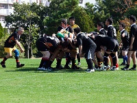 JPN KYU Fukuoka 2012OCT29 GO Day01 048 : 2012, 2012 Fukuoka Golden Oldies, Alice Springs Dingoes Rugby Union Football CLub, Asia, Date, Fukuoka, Fukuoka Prefecture, Golden Oldies Rugby Union, Japan, Month, October, Places, Region Kyushu, Rugby Union, Sports, Year
