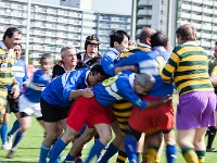 JPN KYU Fukuoka 2012OCT31 GO Day02 027 : 2012, 2012 Fukuoka Golden Oldies, Alice Springs Dingoes Rugby Union Football CLub, Asia, Date, Fukuoka, Fukuoka Prefecture, Golden Oldies Rugby Union, Japan, Month, October, Places, Region Kyushu, Rugby Union, Sports, Year