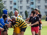 JPN KYU Fukuoka 2012OCT31 GO Day02 028 : 2012, 2012 Fukuoka Golden Oldies, Alice Springs Dingoes Rugby Union Football CLub, Asia, Date, Fukuoka, Fukuoka Prefecture, Golden Oldies Rugby Union, Japan, Month, October, Places, Region Kyushu, Rugby Union, Sports, Year
