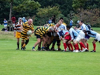 JPN KYU Fukuoka 2012OCT31 GO Day02 033 : 2012, 2012 Fukuoka Golden Oldies, Alice Springs Dingoes Rugby Union Football CLub, Asia, Date, Fukuoka, Fukuoka Prefecture, Golden Oldies Rugby Union, Japan, Month, October, Places, Region Kyushu, Rugby Union, Sports, Year