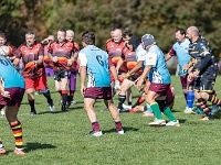 NZL CAN Christchurch 2018APR25 GO Dingoes v AVR 004 : - DATE, - PLACES, - SPORTS, - TRIPS, 10's, 2018, 2018 - Kiwi Kruisin, 2018 Christchurch Golden Oldies, Alice Springs Dingoes Rugby Union Football CLub, Alice Springs Dingoes Rugby Union Football Club, April, Argentina, Associació Veterans Rugby Barcelona, Canterbury, Christchurch, Day, Golden Oldies Rugby Union, Month, New Zealand, Oceania, Rugby Union, South Hagley Park, Spain, Teams, The Gaucho, Wednesday, Year
