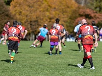 NZL CAN Christchurch 2018APR25 GO Dingoes v AVR 009 : - DATE, - PLACES, - SPORTS, - TRIPS, 10's, 2018, 2018 - Kiwi Kruisin, 2018 Christchurch Golden Oldies, Alice Springs Dingoes Rugby Union Football CLub, Alice Springs Dingoes Rugby Union Football Club, April, Argentina, Associació Veterans Rugby Barcelona, Canterbury, Christchurch, Day, Golden Oldies Rugby Union, Month, New Zealand, Oceania, Rugby Union, South Hagley Park, Spain, Teams, The Gaucho, Wednesday, Year