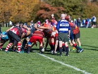 NZL CAN Christchurch 2018APR25 GO Dingoes v AVR 040 : - DATE, - PLACES, - SPORTS, - TRIPS, 10's, 2018, 2018 - Kiwi Kruisin, 2018 Christchurch Golden Oldies, Alice Springs Dingoes Rugby Union Football CLub, Alice Springs Dingoes Rugby Union Football Club, April, Argentina, Associació Veterans Rugby Barcelona, Canterbury, Christchurch, Day, Golden Oldies Rugby Union, Month, New Zealand, Oceania, Rugby Union, South Hagley Park, Spain, Teams, The Gaucho, Wednesday, Year