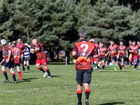 NZL CAN Christchurch 2018APR25 GO Dingoes v AVR 047 : - DATE, - PLACES, - SPORTS, - TRIPS, 10's, 2018, 2018 - Kiwi Kruisin, 2018 Christchurch Golden Oldies, Alice Springs Dingoes Rugby Union Football CLub, Alice Springs Dingoes Rugby Union Football Club, April, Argentina, Associació Veterans Rugby Barcelona, Canterbury, Christchurch, Day, Golden Oldies Rugby Union, Month, New Zealand, Oceania, Rugby Union, South Hagley Park, Spain, Teams, The Gaucho, Wednesday, Year