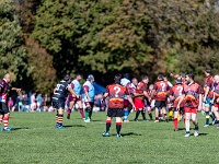 NZL CAN Christchurch 2018APR25 GO Dingoes v AVR 049 : - DATE, - PLACES, - SPORTS, - TRIPS, 10's, 2018, 2018 - Kiwi Kruisin, 2018 Christchurch Golden Oldies, Alice Springs Dingoes Rugby Union Football CLub, Alice Springs Dingoes Rugby Union Football Club, April, Argentina, Associació Veterans Rugby Barcelona, Canterbury, Christchurch, Day, Golden Oldies Rugby Union, Month, New Zealand, Oceania, Rugby Union, South Hagley Park, Spain, Teams, The Gaucho, Wednesday, Year