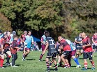 NZL CAN Christchurch 2018APR25 GO Dingoes v AVR 061 : - DATE, - PLACES, - SPORTS, - TRIPS, 10's, 2018, 2018 - Kiwi Kruisin, 2018 Christchurch Golden Oldies, Alice Springs Dingoes Rugby Union Football CLub, Alice Springs Dingoes Rugby Union Football Club, April, Argentina, Associació Veterans Rugby Barcelona, Canterbury, Christchurch, Day, Golden Oldies Rugby Union, Month, New Zealand, Oceania, Rugby Union, South Hagley Park, Spain, Teams, The Gaucho, Wednesday, Year