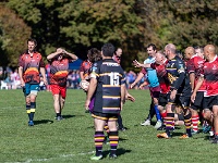 NZL CAN Christchurch 2018APR25 GO Dingoes v AVR 062 : - DATE, - PLACES, - SPORTS, - TRIPS, 10's, 2018, 2018 - Kiwi Kruisin, 2018 Christchurch Golden Oldies, Alice Springs Dingoes Rugby Union Football CLub, Alice Springs Dingoes Rugby Union Football Club, April, Argentina, Associació Veterans Rugby Barcelona, Canterbury, Christchurch, Day, Golden Oldies Rugby Union, Month, New Zealand, Oceania, Rugby Union, South Hagley Park, Spain, Teams, The Gaucho, Wednesday, Year