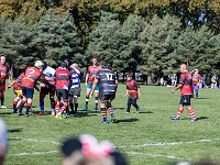 NZL CAN Christchurch 2018APR25 GO Dingoes v AVR 067 : - DATE, - PLACES, - SPORTS, - TRIPS, 10's, 2018, 2018 - Kiwi Kruisin, 2018 Christchurch Golden Oldies, Alice Springs Dingoes Rugby Union Football CLub, Alice Springs Dingoes Rugby Union Football Club, April, Argentina, Associació Veterans Rugby Barcelona, Canterbury, Christchurch, Day, Golden Oldies Rugby Union, Month, New Zealand, Oceania, Rugby Union, South Hagley Park, Spain, Teams, The Gaucho, Wednesday, Year