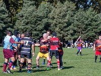NZL CAN Christchurch 2018APR25 GO Dingoes v AVR 068 : - DATE, - PLACES, - SPORTS, - TRIPS, 10's, 2018, 2018 - Kiwi Kruisin, 2018 Christchurch Golden Oldies, Alice Springs Dingoes Rugby Union Football CLub, Alice Springs Dingoes Rugby Union Football Club, April, Argentina, Associació Veterans Rugby Barcelona, Canterbury, Christchurch, Day, Golden Oldies Rugby Union, Month, New Zealand, Oceania, Rugby Union, South Hagley Park, Spain, Teams, The Gaucho, Wednesday, Year