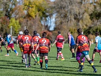 NZL CAN Christchurch 2018APR25 GO Dingoes v AVR 074 : - DATE, - PLACES, - SPORTS, - TRIPS, 10's, 2018, 2018 - Kiwi Kruisin, 2018 Christchurch Golden Oldies, Alice Springs Dingoes Rugby Union Football CLub, Alice Springs Dingoes Rugby Union Football Club, April, Argentina, Associació Veterans Rugby Barcelona, Canterbury, Christchurch, Day, Golden Oldies Rugby Union, Month, New Zealand, Oceania, Rugby Union, South Hagley Park, Spain, Teams, The Gaucho, Wednesday, Year