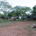 ZMB LUS Lusaka 2016DEC08 Eureka 001  The "huts" at the   Eureka Camping Park   where the accomodated members of our group stayed for the night. : 2016, 2016 - African Adventures, Africa, Date, December, Eastern, Eureka Camping Park, Lusaka, Month, Places, Trips, Year, Zambia