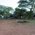 ZMB LUS Lusaka 2016DEC08 Eureka 006 : 2016, 2016 - African Adventures, Africa, Date, December, Eastern, Eureka Camping Park, Lusaka, Month, Places, Trips, Year, Zambia