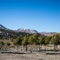 MAR DRA AitKharrou 2017JAN02 001 : 2016 - African Adventures, 2017, Africa, Ait Kharrou, Date, Drâa-Tafilalet, January, Month, Morocco, Northern, Places, Trips, Year
