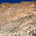 MAR DRA FoumZabel 2017JAN02 008 : 2016 - African Adventures, 2017, Africa, Date, Drâa-Tafilalet, Foum Zabel, January, Month, Morocco, Northern, Places, Trips, Year