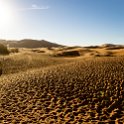 MAR DRA Merzouga 2017JAN03 HotelYasmina 007 : 2016 - African Adventures, 2017, Africa, Date, Drâa-Tafilalet, Hotel Yasmin, January, Merzouga, Month, Morocco, Northern, Places, Trips, Year