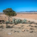 MAR DRA RoadN13 2017JAN02 006 : 2016 - African Adventures, 2017, Africa, Date, Drâa-Tafilalet, January, Month, Morocco, Northern, Places, Road N13, Trips, Year