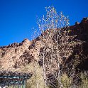 MAR DRA Tinghir 2017JAN03 HotelKasbahAmazir 004 : 2016 - African Adventures, 2017, Africa, Date, Drâa-Tafilalet, Hotel Kasbah Amazir, January, Month, Morocco, Northern, Places, Tinghir, Trips, Year