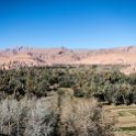 MAR DRA Tinghir 2017JAN03 TodraRiver 005 : 2016 - African Adventures, 2017, Africa, Date, Drâa-Tafilalet, January, Month, Morocco, Northern, Places, Tinghir, Todra River, Trips, Year