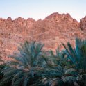MAR DRA Tinghir 2017JAN04 HotelKasbahAmazir 003 : 2016 - African Adventures, 2017, Africa, Date, Drâa-Tafilalet, Hotel Kasbah Amazir, January, Month, Morocco, Northern, Places, Tinghir, Trips, Year