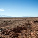 MAR DRA Zaida 2017JAN02 004 : 2016 - African Adventures, 2017, Africa, Date, Drâa-Tafilalet, January, Month, Morocco, Northern, Places, Trips, Year, Zaida