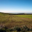 MAR FES Volubilis 2016DEC31 005 : 2016, 2016 - African Adventures, Africa, Date, December, Fès-Meknès, Month, Morocco, Northern, Places, Trips, Volubilis, Year