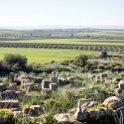 MAR FES Volubilis 2016DEC31 021 : 2016, 2016 - African Adventures, Africa, Date, December, Fès-Meknès, Month, Morocco, Northern, Places, Trips, Volubilis, Year