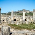 MAR FES Volubilis 2016DEC31 025 : 2016, 2016 - African Adventures, Africa, Date, December, Fès-Meknès, Month, Morocco, Northern, Places, Trips, Volubilis, Year