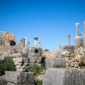 MAR FES Volubilis 2016DEC31 039 : 2016, 2016 - African Adventures, Africa, Date, December, Fès-Meknès, Month, Morocco, Northern, Places, Trips, Volubilis, Year