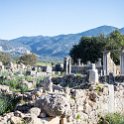 MAR FES Volubilis 2016DEC31 041 : 2016, 2016 - African Adventures, Africa, Date, December, Fès-Meknès, Month, Morocco, Northern, Places, Trips, Volubilis, Year