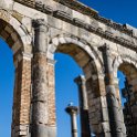 MAR FES Volubilis 2016DEC31 060 : 2016, 2016 - African Adventures, Africa, Date, December, Fès-Meknès, Month, Morocco, Northern, Places, Trips, Volubilis, Year