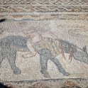 MAR FES Volubilis 2016DEC31 062 : 2016, 2016 - African Adventures, Africa, Date, December, Fès-Meknès, Month, Morocco, Northern, Places, Trips, Volubilis, Year
